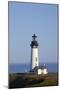 Yaquina Head Lighthouse, 1873, Newport, Oregon, USA-Jamie & Judy Wild-Mounted Photographic Print