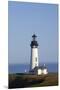 Yaquina Head Lighthouse, 1873, Newport, Oregon, USA-Jamie & Judy Wild-Mounted Premium Photographic Print