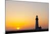 Yaquina Head Lighthouse, 1873, Newport, Oregon, USA-Jamie & Judy Wild-Mounted Photographic Print