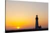 Yaquina Head Lighthouse, 1873, Newport, Oregon, USA-Jamie & Judy Wild-Stretched Canvas