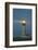 Yaquina Head Lighthouse, near Newport, Oregon Coast-Stuart Westmorland-Framed Photographic Print