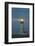 Yaquina Head Lighthouse, near Newport, Oregon Coast-Stuart Westmorland-Framed Photographic Print