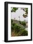 Yaquina Head Lighthouse, near Newport, Oregon Coast-Stuart Westmorland-Framed Photographic Print