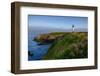 Yaquina Head Lighthouse, Newport, Oregon, USA-Rick A^ Brown-Framed Photographic Print