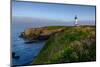 Yaquina Head Lighthouse, Newport, Oregon, USA-Rick A^ Brown-Mounted Photographic Print