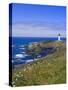 Yaquina Head Lighthouse, Oregon, United States of America, North America-DeFreitas Michael-Stretched Canvas