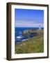 Yaquina Head Lighthouse, Oregon, United States of America, North America-DeFreitas Michael-Framed Photographic Print