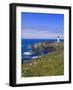 Yaquina Head Lighthouse, Oregon, United States of America, North America-DeFreitas Michael-Framed Photographic Print