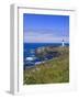 Yaquina Head Lighthouse, Oregon, United States of America, North America-DeFreitas Michael-Framed Photographic Print