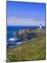 Yaquina Head Lighthouse, Oregon, United States of America, North America-DeFreitas Michael-Mounted Photographic Print