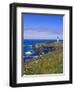 Yaquina Head Lighthouse, Oregon, United States of America, North America-DeFreitas Michael-Framed Photographic Print