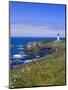 Yaquina Head Lighthouse, Oregon, United States of America, North America-DeFreitas Michael-Mounted Photographic Print