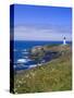 Yaquina Head Lighthouse, Oregon, United States of America, North America-DeFreitas Michael-Stretched Canvas