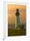 Yaquina Head Lighthouse-George Johnson-Framed Photographic Print