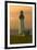 Yaquina Head Lighthouse-George Johnson-Framed Photographic Print