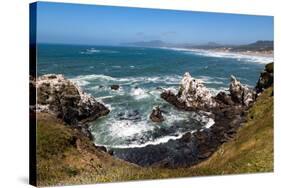 Yaquina Head Nature Reserve near Newport on the Pacific Northwest coast, Oregon, United States of A-Martin Child-Stretched Canvas