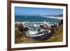 Yaquina Head Nature Reserve near Newport on the Pacific Northwest coast, Oregon, United States of A-Martin Child-Framed Photographic Print