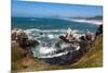 Yaquina Head Nature Reserve near Newport on the Pacific Northwest coast, Oregon, United States of A-Martin Child-Mounted Photographic Print