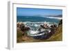 Yaquina Head Nature Reserve near Newport on the Pacific Northwest coast, Oregon, United States of A-Martin Child-Framed Photographic Print