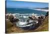 Yaquina Head Nature Reserve near Newport on the Pacific Northwest coast, Oregon, United States of A-Martin Child-Stretched Canvas