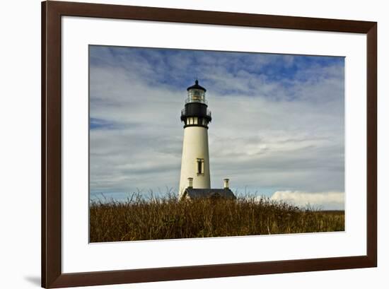 Yaquina Head, Yaquina Head Outstanding Natural Area, Newport, Oregon, USA-Michel Hersen-Framed Photographic Print