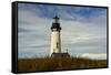 Yaquina Head, Yaquina Head Outstanding Natural Area, Newport, Oregon, USA-Michel Hersen-Framed Stretched Canvas