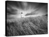 Yaquina Lighthouse 3-Moises Levy-Stretched Canvas