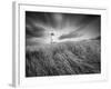 Yaquina Lighthouse 3-Moises Levy-Framed Photographic Print