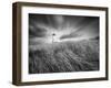 Yaquina Lighthouse 3-Moises Levy-Framed Photographic Print