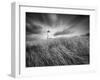 Yaquina Lighthouse 3-Moises Levy-Framed Photographic Print