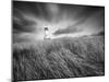Yaquina Lighthouse 3-Moises Levy-Mounted Photographic Print