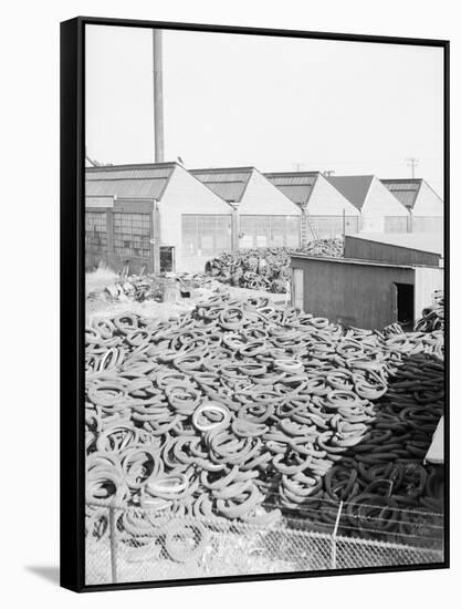 Yard Full of Scrap Auto Tires-Philip Gendreau-Framed Stretched Canvas