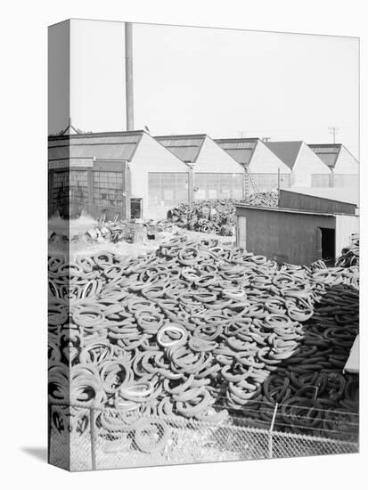 Yard Full of Scrap Auto Tires-Philip Gendreau-Stretched Canvas