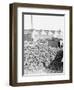 Yard Full of Scrap Auto Tires-Philip Gendreau-Framed Photographic Print