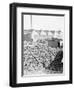 Yard Full of Scrap Auto Tires-Philip Gendreau-Framed Photographic Print