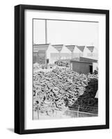 Yard Full of Scrap Auto Tires-Philip Gendreau-Framed Photographic Print