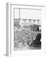 Yard Full of Scrap Auto Tires-Philip Gendreau-Framed Photographic Print