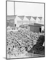 Yard Full of Scrap Auto Tires-Philip Gendreau-Mounted Photographic Print