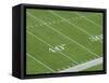 Yard Lines on Football Field-David Madison-Framed Stretched Canvas