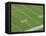 Yard Lines on Football Field-David Madison-Framed Stretched Canvas