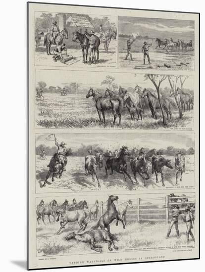 Yarding Warrigals or Wild Horses in Queensland-Godefroy Durand-Mounted Giclee Print