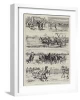 Yarding Warrigals or Wild Horses in Queensland-Godefroy Durand-Framed Giclee Print