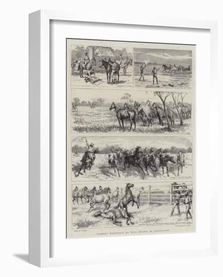 Yarding Warrigals or Wild Horses in Queensland-Godefroy Durand-Framed Giclee Print