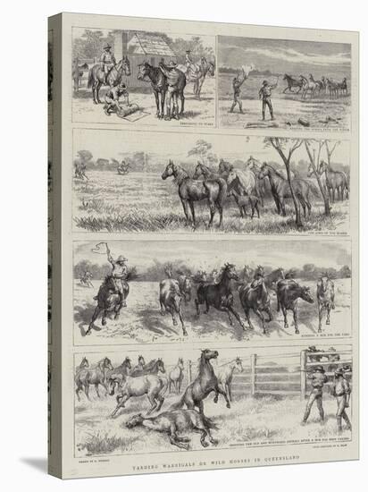 Yarding Warrigals or Wild Horses in Queensland-Godefroy Durand-Stretched Canvas