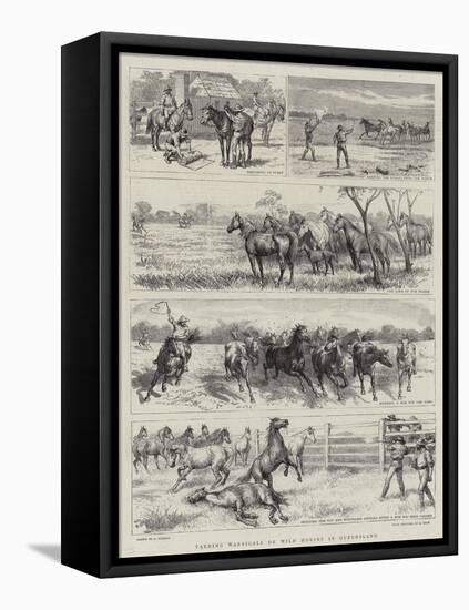 Yarding Warrigals or Wild Horses in Queensland-Godefroy Durand-Framed Stretched Canvas