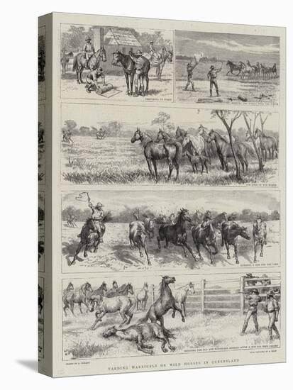 Yarding Warrigals or Wild Horses in Queensland-Godefroy Durand-Stretched Canvas