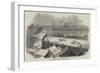 Yarmouth Races, the Cup Race-null-Framed Giclee Print