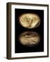 Yarn Hands, 2013-Johan Lilja-Framed Giclee Print