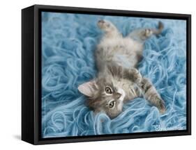 Yarnie-Rachael Hale-Framed Stretched Canvas