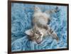 Yarnie-Rachael Hale-Framed Art Print